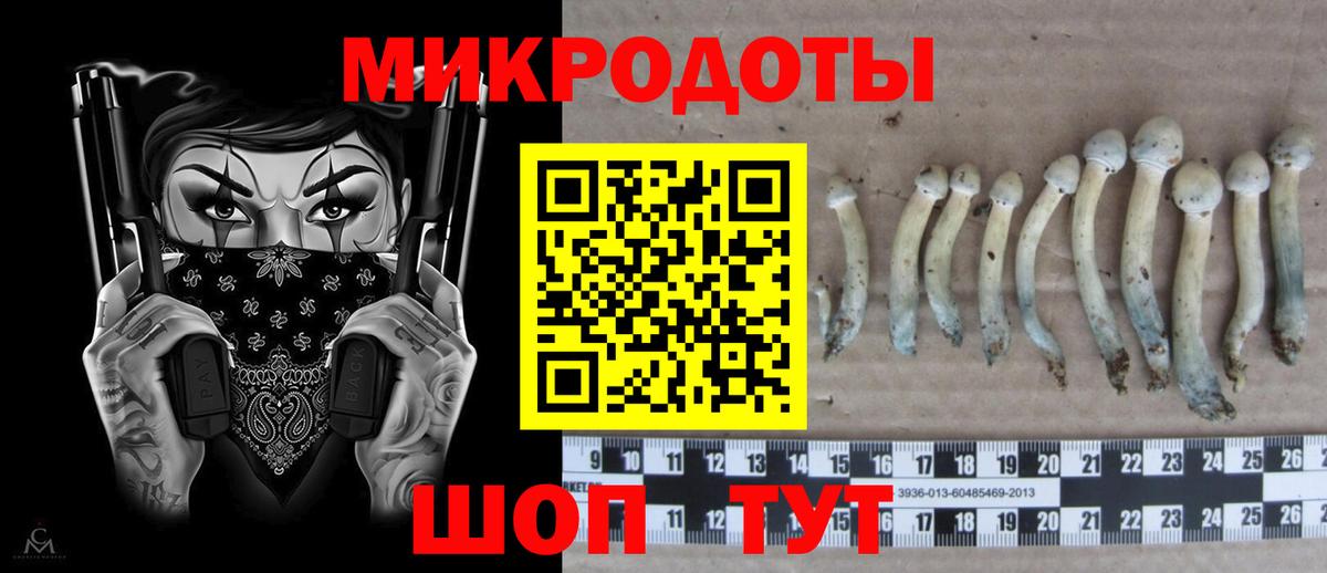 Саранск  Псилоцибиновые грибы Magic Shrooms  наркота  Вход с VPN 